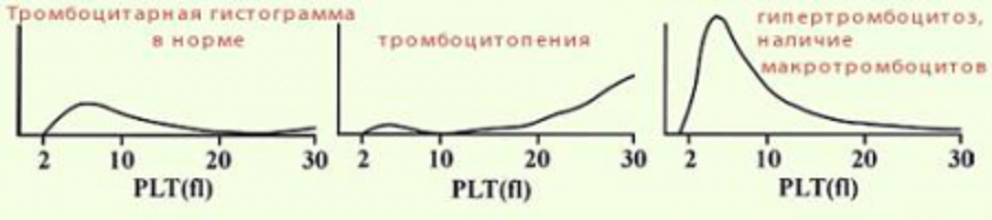 Как называется отклонение от нормы показателя роста у мужчины изображенного на рисунке 2